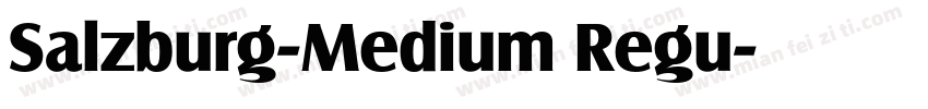Salzburg-Medium Regu字体转换